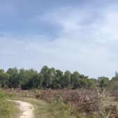 CHÍNH CHỦ GỬI BÁN ĐẤT VƯỜN HÀM NINH – PHÚ QUỐC